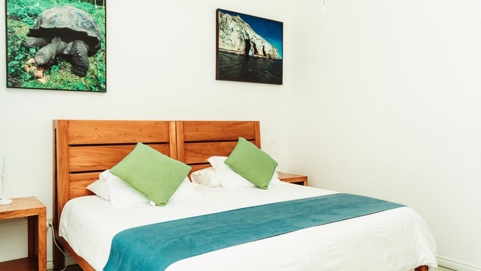 Hotel Albemarle 푸에르토빌라밀 외부 사진